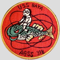 AGSS 318 PATCH 1899