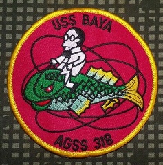 AGSS 318 Patch