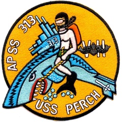 APSS 313 PATCH bf111c6fff030fe52.jpg.pagespeed.ic