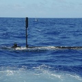 Seal-delivery-team-1-surfacing-in-its-seal-delivery-vehicle-and-swimming-back-to-the-michigan-in-the-pacific-ocean-in-2012