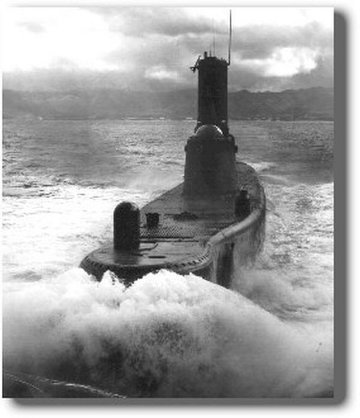 SS 242 USS Bluegill SS242.jpg