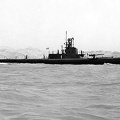 USS-Wahoo-238