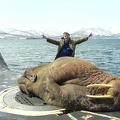 russian-sub-walrus.jpg