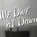 We Dive at Dawn title
