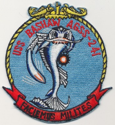 AGSS 241 PATCH 7a9170900.jpg