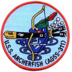 AGSS 311 PATCH 9d587