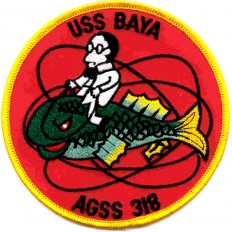 AGSS 318 PATCH 99292769f