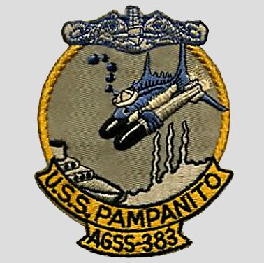 AGSS 383 PATCH 398.jpg