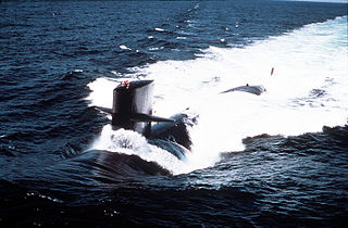 SSN 653 USS_Ray_(SSN-653).jpg